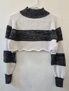 Turtleneck Crop Top Sweater